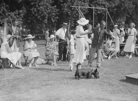 RECORD DATE NOT STATED Dog show, East Hampton, Long Island, between 1933 and 1942. Creator: Arnold Genthe. Copyright:x HeritagexImagesx IMAGO ,2956425 ! ACHTUNG: AUFNAHMEDATUM GESCHÄTZT!  Copyright: HeritagexImagesx IMAGO