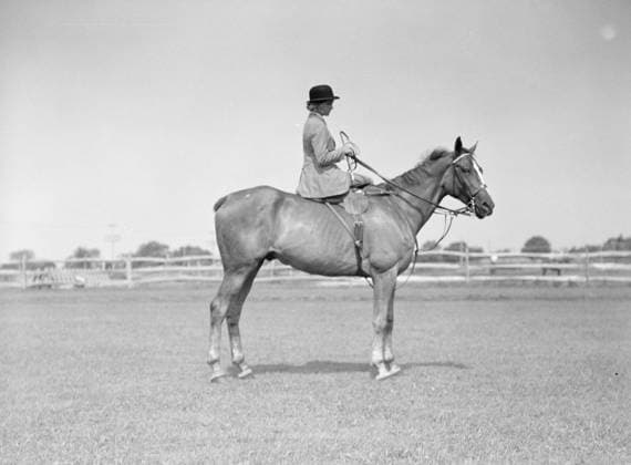 RECORD DATE NOT STATED Horse show, East Hampton, Long Island., between 1933 and 1942. Creator: Arnold Genthe. Copyright:x HeritagexImagesx IMAGO ,2956698 ! ACHTUNG: AUFNAHMEDATUM GESCHÄTZT!  Copyright: HeritagexImagesx IMAGO