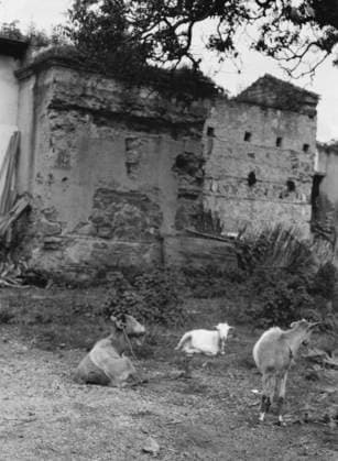 RECORD DATE NOT STATED Travel views of Cuba and Guatemala, between 1899 and 1926. Creator: Arnold Genthe. Copyright:x HeritagexImagesx IMAGO ,2957239 ! ACHTUNG: AUFNAHMEDATUM GESCHÄTZT!  Copyright: HeritagexImagesx IMAGO