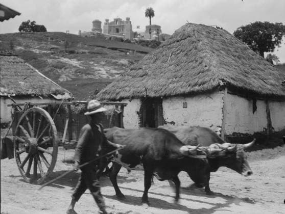RECORD DATE NOT STATED Travel views of Cuba and Guatemala, between 1899 and 1926. Creator: Arnold Genthe. Copyright:x HeritagexImagesx IMAGO ,2957243 ! ACHTUNG: AUFNAHMEDATUM GESCHÄTZT!  Copyright: HeritagexImagesx IMAGO