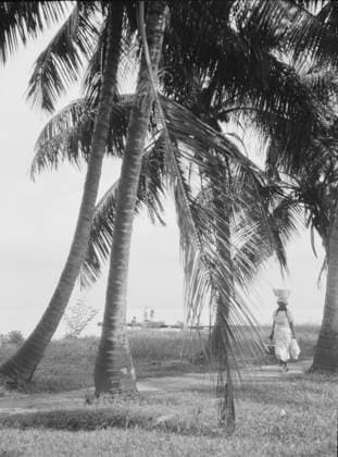 RECORD DATE NOT STATED Travel views of Cuba and Guatemala, between 1899 and 1926. Creator: Arnold Genthe. Copyright:x HeritagexImagesx IMAGO ,2957266 ! ACHTUNG: AUFNAHMEDATUM GESCHÄTZT!  Copyright: HeritagexImagesx IMAGO