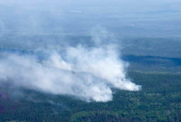 July 5, 2023, Lebel-sur-Quevillon, PQ, Canada: Smoke plumes are seen in the forest along with burnt areas near Lebel-sur-Quevillon, Que., Wednesday, July 5, 2023. Lebel-sur-Quevillon Canada  - ZUMAc35_ 20230705_zaf_c35_071 Copyright: xAdrianxWyldx