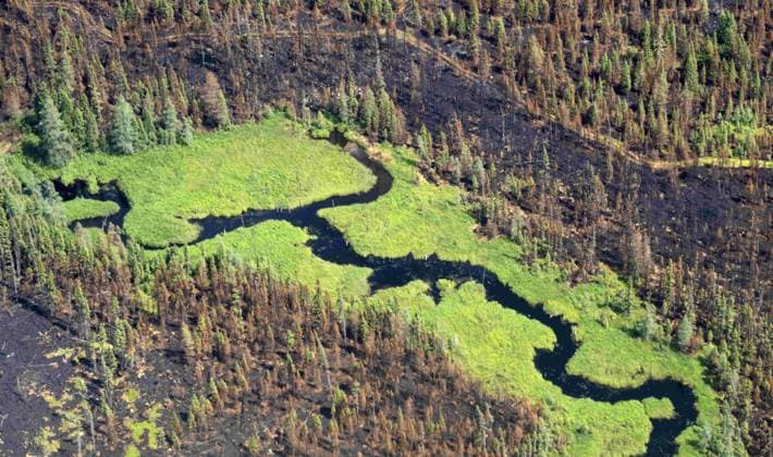July 5, 2023, Lebel-sur-Quevillon, PQ, Canada: A stream is seen between burnt areas of forest near Lebel-sur-Quevillon, Que., Wednesday, July 5, 2023. Lebel-sur-Quevillon Canada  - ZUMAc35_ 20230705_zaf_c35_069 Copyright: xAdrianxWyldx
