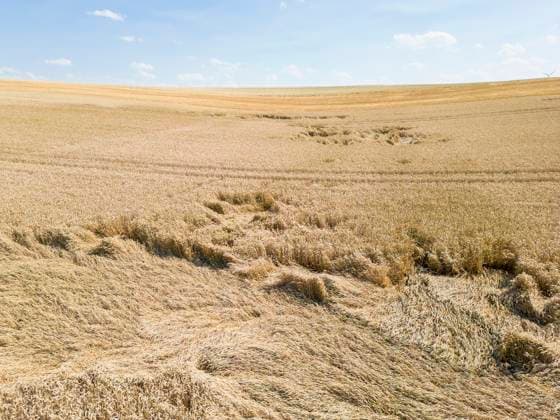 News Bilder des Tages Rottendorf, 11.07.2023, Trockenheit in der Landwirtschaft Bild: Trockene Felder *** Rottendorf, 11 07 2023, drought in agriculture image dry fields Copyright: HMBxMedia xHeikoxBecker