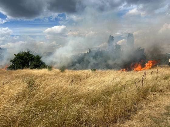 News Themen der Woche KW28 News Bilder des Tages Feldbrand bei Mörfelden-Walldorf - Mörfelden-Walldorf 12.07.2023: Feldbrand südlich von Walldorf *** Field fire near Mörfelden Walldorf Mörfelden Walldorf 12 07 2023 Field fire south of Walldorf