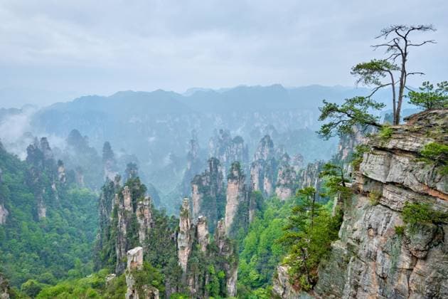 Creative Highlights World Berühmte Touristenattraktion Chinas, Zhangjiajie Steinsäulen Klippenberge in Nebelwolken bei Wulingyuan, Hunan, China, Asien *** famous Tourist attraction Chinas, Zhangjiajie Stone Columns Cliff Mountains in Fog clouds at Wulingyuan, Hunan, China, Asia Copyright: imageBROKER/DmitryxRukhlenko ibxdmr09411486.jpg