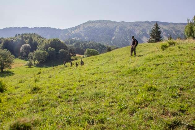 Bilder des Jahres 2023, News 07 Juli News Themen der Woche KW28 News Bilder des Tages Disappearance Of Little Emile - Vernet The gendarmes meticulously search the outskirts of the village of Vernet about fifty mobile gendarmes from Gap sift through 1.8 km of road and a strip of about 10 meters , France on July 13, 2023. Disappearance at Vernet in the Alpes de Haute-Provence of little Emile aged two and a half. Photo by Thibaut Durand ABACAPRESS.COM Vernet France  Copyright: xDurandxThibaut ABACAx 860563_008 DurandxThibaut ABACAx 860563_008 