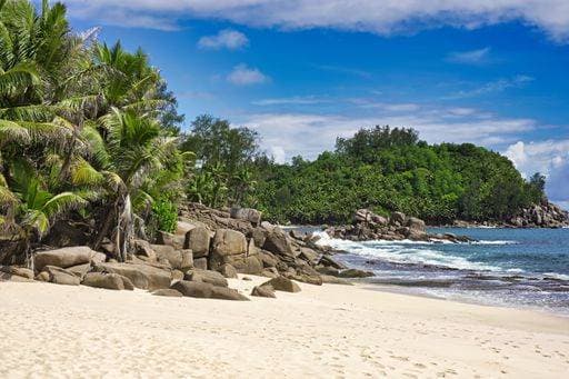 a pristine white sand beach on Mahe Island, Seychelles surrounded by lush tropical vegetation *** einer pristine weiß sandigen Strand am Mahe Island, Seychellen umgeben indem ueppige tropisch Vegetationen 20006286 RECORD DATE NOT STATED