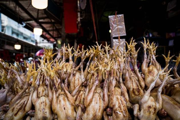 News Themen der Woche KW28 News Bilder des Tages July 15, 2023, Bangkok, Thailand: Chickens for sale seen at a wet market in Khlong Toey. Bangkok Thailand - ZUMAs197 20230715_zaa_s197_027 Copyright: xMattxHuntx