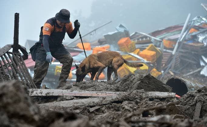 News Themen der Woche KW28 News Bilder des Tages (230716) -- SEOUL, July 16, 2023 -- A rescuer and a sniffer dog are in operation at a site of landslide in the county of Yecheon, North Gyeongsang Province, South Korea, on July 16, 2023. The Death toll from the torrential rains over the past week in South Korea rose to 33, while 10 others were missing, relevant authorities said on Sunday. According to the central disaster and safety countermeasure headquarters, 33 people had been found dead in southeastern North Gyeongsang province and central Chungcheong province. ( via Xinhua) SOUTH KOREA-HEAVY RAINS-DEATH TOLL NEWSIS 