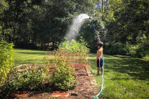 IMAGO Creative: Sommer, Sommertage im Garten Boy watering plants with hose in backyard garden. United States, Virginia, Fairfax CR_YWPB230717-1215748-01 ,model released, Symbolfoto