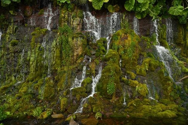 Creative Highlights World RUSSIA, SAKHALIN REGION - JULY 19, 2023: The Wall of Waterfalls (Weeping Rocks) stands on Iturup, the largest island of the Greater Kuril Chain, one of the southern Kuril Islands. Nikolai Mikhalchenko TASS  60541831