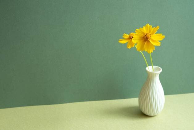 Vase of yellow flower on table. green wall background. minimal object Vase of yellow flower on table. green wall background. minimal object Copyright: xZoonar.com sangax 20370813