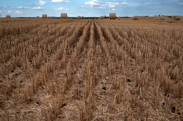 Landschaft Landwirtschaft Energie erneuerbare Ebergie Windkraft Windpark 20.07.2023 Sachsen Anhalt Burgenlandkreis Ernte Felder Stoppeln Strohballen Windpark Windenergie erneuerbare Energie Naumburg GER *** landscape agriculture energy renewable Ebergie wind power wind farm 20 07 2023 Saxony Anhalt Burgenlandkreis harvest fields stubble straw bale wind farm wind energy renewable energy Naumburg GER