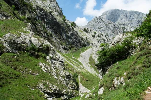 Gipfel und Felsen in der Schlucht des Tejos bei Bulnes, im Nationalpark und UNESCO-Biosphärenreservat Picos de Europa in Asturien, Nordspanien. Juni 2023 Nordspanien erwandern *** Peaks and rocks in the Tejo Gorge near Bulnes, in the Picos de Europa National Park and UNESCO Biosphere Reserve in Asturias, northern Spain June 2023 Hiking Northern Spain 20230614DSC_4791