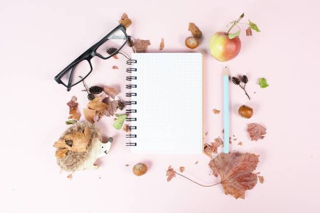 IMAGO Creative: Herbst, Illustrationen Empty notebook with eyeglasses, an apple and a hedgehog, autumn template with colorful leaves Empty notebook with eyeglasses, an apple and a hedgehog, autumn template with colorful leaves, office desk, pastel color Copyright: xZoonar.com BeritxKesslerx 20470871