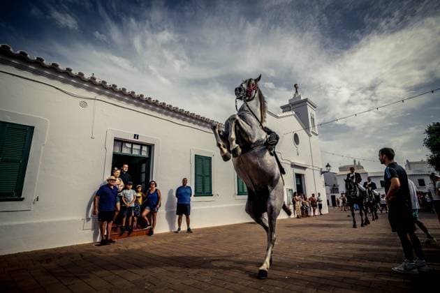 News Bilder des Tages July 22, 2023, fornells, balearic Islands, Spain: A caixer (horse rider) rears up on his horse passing the greeting preast in his house before incorporating him into the cavalcade through the village prior to the traditional Jaleo at the Sant Antoni Festival in Fornells fornells Spain - ZUMAo105 20230722_fap_o105_012 Copyright: xMatthiasxOesterlex