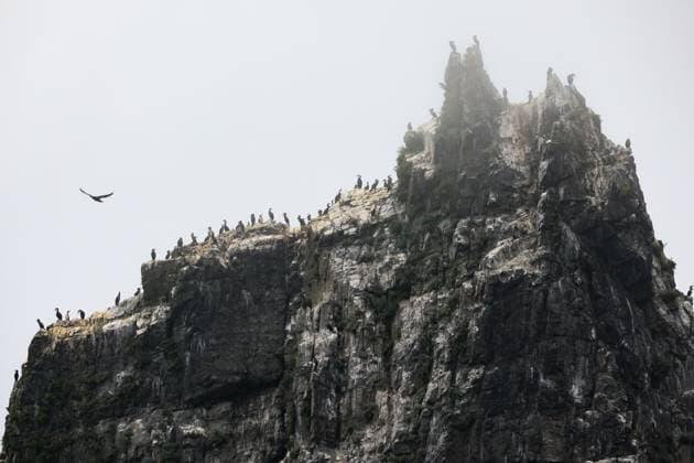 Creative Highlights World RUSSIA, PRIMORYE REGION - JULY 22, 2023: A view of the Five Fingers stacks. Yuri Smityuk TASS  60620463