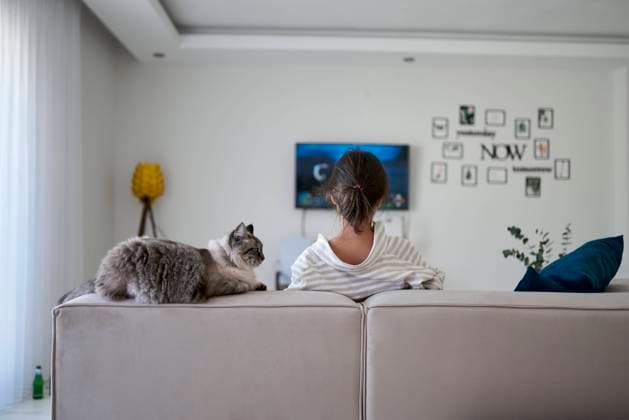 Woman with cat sitting on sofa at home model released, Symbolfoto property released, ANNF00343