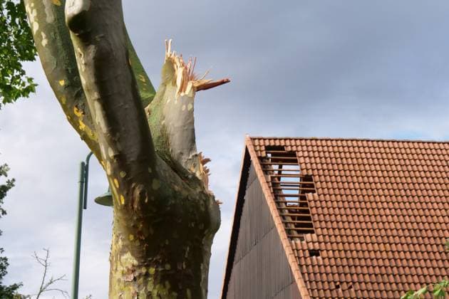 News Themen der Woche KW30 News Bilder des Tages Ein Unwetter mit starken Sturmboehen und Regen ging am Nachmittag des heutigen Montag im Raum Northeim Landkreis Einbeck herunter. Sturmboehen liessen Baeume umknicken und beschaedigten Strassen, Autos und Haeuser. U.B.z. Zahlreiche abgefallenen Aeste, umgestuerzte Baeume liessen den Verkehr auf der Bundesstrasse Drei zwischen Northeim und Einbeck zum erliegen bringen. Feuerwehen aus Northeim und den umliegenden Ortschafften sowie das Technische Hilfswerk halfen wie hie in Hohnstedt zwischen Einbeck und Northeim bei den Aufraeumarbeiten. Alte Strasse-Hohnstaedt. Unwetter im Raum Northeim *** A storm with strong gale-force winds and rain went down in the afternoon of today, Monday, in the area of Northeim district Einbeck gale-force winds ca