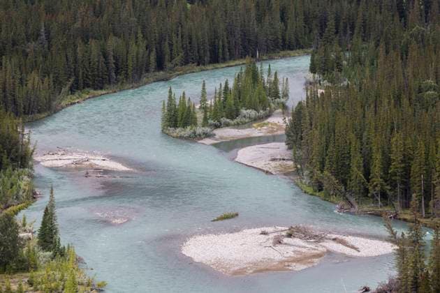 Creative Highlights World Banff, Canada July 12, 2023 - The Bow River flows through a forest of fir trees in the Canadian ski resort BANFF, CANADA, TOURISME, SITE TOURISTIQUE, MONTAGNES ROCHEUSES CANADIENNES, ALBERTA, PARC NATIONAL DE BANFF, ILLUSTRATION, MONTAGNES, NATURE, AMERIQUE DU NORD, BIODIVERSITE, ENVIRONNEMENT, DESTINATION DE VOYAGE, PAYSAGE, RESERVE SAUVAGE, STATION DE SKI CANADIENNE, VISITER, SEJOUR, FORETS, SAPINS, ARBRE, PURETE, PURE, PRESERVE, FLEUVE, EAU DE GLACIER  Copyright: xVincentxIsorex