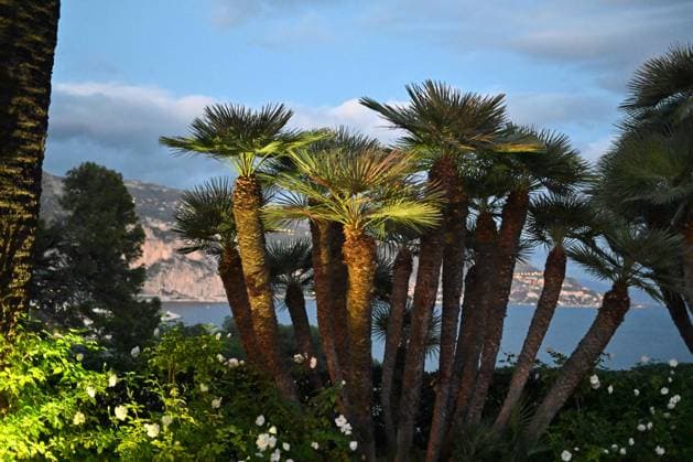 Villa Ephrussi De Rothschild - Saint Jean Cap Ferrat The Villa Ephrussi de Rothschild, also called Villa Ile de France, is one of the most beautiful Renaissance style palaces on the Cote d Azur built on a summit of the peninsula of Cap Ferrat between 1905 and 1912 in Saint Jean Cap Ferrat by Baroness Beatrice Ephrussi de Rothschild (1864-1934). November 20, 2022. Photo by Lionel Urman ABACAPRESS.COM Saint Jean Cap Ferrat France  Copyright: xUrmanxLionel ABACAx 832327_032 UrmanxLionel ABACAx 832327_032 