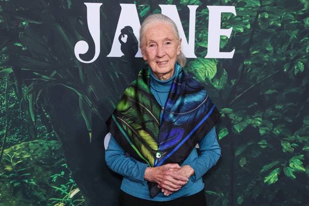 IMAGO ICONS: Jane Goodall Premiere Of Apple TV+ Original Series Jane Season 1 - LA LOS ANGELES, CALIFORNIA, USA - APRIL 14: English primatologist and anthropologist Dr. Jane Goodall (Dame Jane Morris Goodall DBE, formerly Baroness Jane van Lawick-Goodall) arrives at the Los Angeles Premiere Of Apple TV+ Original Series Jane Season 1 held at the California Science Center at Exposition Park on April 14, 2023 in Los Angeles, California, United States. Photo by Xavier Collin Image Press Agency ABACAPRESS.COM Los Angeles California United States  Copyright: xCollinxXavier ImagexPressxAgencyxABACAx 849338_069 CollinxXavier ImagexPressxAgencyxABACAx 849338_069 