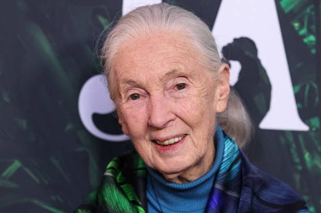 Premiere Of Apple TV+ Original Series Jane Season 1 - LA LOS ANGELES, CALIFORNIA, USA - APRIL 14: English primatologist and anthropologist Dr. Jane Goodall (Dame Jane Morris Goodall DBE, formerly Baroness Jane van Lawick-Goodall) arrives at the Los Angeles Premiere Of Apple TV+ Original Series Jane Season 1 held at the California Science Center at Exposition Park on April 14, 2023 in Los Angeles, California, United States. Photo by Xavier Collin Image Press Agency ABACAPRESS.COM Los Angeles California United States  Copyright: xCollinxXavier ImagexPressxAgencyxABACAx 849338_103 CollinxXavier ImagexPressxAgencyxABACAx 849338_103 