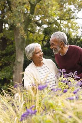 Creative Highlights Symbolbilder Happy senior biracial couple holding hands and smiling at each other in garden at home Happy senior biracial couple holding hands and smiling at each other in garden at home. Senior lifestyle, retirement, nature and domestic life, unaltered., model released, , property released, Cape Town, South Africa, 25.04.2023, 4108228.jpg, people,happy,senior,biracial,couple,holding hand,smiling,garden,home,lifestyle,retirement,nature,domestic life,unaltered,young,beautiful,summer,person,adult,cheerful,happiness,fun,together,outdoor,portrait,leisure,green,natural,beauty,smile,cute,love,attractive,holding,hand,domestic,life Senior,Elderly,Man,Male,Multiracial,Woman,Female