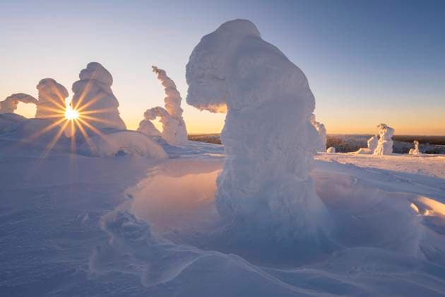 eingeschneite Trees, Winter landscape, Riisitunturi National Park, Posio, Lapland, Finland, Europe Copyright: imageBROKER/RobertxHaasmann ibxroh09440656.jpg