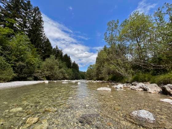 Creative Highlights World 23.07.2023, Das Bergsteigerdorf Kreuth am Tegernsee, Der Gebirgsfluss Weißach am Ortsrand. 23.07.2023, Wildbad Kreuth 23.07.2023, Wildbad Kreuth *** 23 07 2023, The mountain village Kreuth at the Tegernsee, The mountain river Weißach at the edge of the village 23 07 2023, Wildbad Kreuth 23 07 2023, Wildbad Kreuth