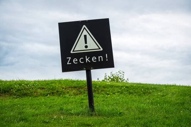 29 July 2023: Warning sign on green field with the inscription: Ticks, warning about ticks and tick bites PHOTOMONTAGE *** Warnschild auf grüner Wiese mit der Aufschrift: Zecken, Warnung vor Zecken und Zeckenstichen FOTOMONTAGE