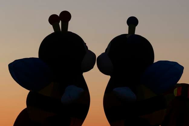 News Themen der Woche KW30 News Bilder des Tages Workers prepare Hot air balloons for flight at the New Jersey Lottery Festival of Ballooning at Solberg Airport in Readington, NJ on Sunday, July 30, 2023.  NYP20230730104 JOHNxANGELILLO