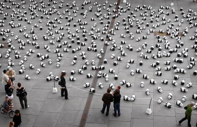 1,600 Pandas In Town - Bordeaux 1,600 papier mache pandas have been installed by members of the World Wildlife Fund (WWF) in the center of Bordeaux, southwestern France on September 7, 2008, to increase public awareness of the endangered species. According to recent investigations, there are currently only 1,600 giant pandas alive all over the world, about 1,000 of them in China. The exhibition called 1,600 Pandas In Town will also travel aound the world. The panda has been the WWF s symbol since it was formed in 1961. Photo by Patrick Bernard ABACAPRESS.COM Bordeaux France  Copyright: xBernardxPatrick ABACAx 163024_15 BernardxPatrick ABACAx 163024_15 