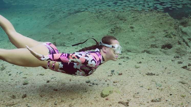 Creative Highlights Symbolbilder Freitaucherin schwimmt unter einem großen Sprottenschwarm und betrachtet die Fische, Rotes Meer, Ägypten, Afrika *** Freitaucherin swims at a Big ones Sprat swarm and viewed the Pisces, Red Sea, Egypt, Africa Copyright: imageBROKER/AndreyxNekrasov ibxaaa09468549.jpg ,model released, Symbolfoto ,property released