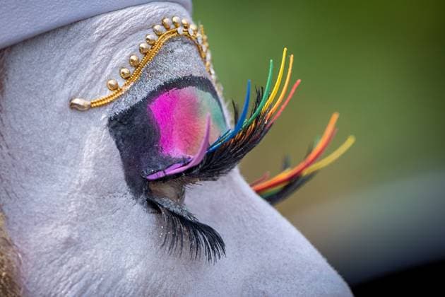 News Themen der Woche KW31 News Bilder des Tages August 6, 2023, VANCOUVER, BC, CANADA: A performer s makeup is finished with rainbow eyelashes for the Pride Parade at English Bay in Vancouver, B.C., Sunday, Aug. 6, 2023. VANCOUVER CANADA  - ZUMAc35_ 20230806_zaf_c35_010 Copyright: xEthanxCairnsx