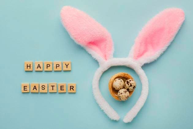 Draufsicht Ostereier mit Hasenohren zur Begrüßung *** Top view Easter eggs with Rabbit ears to Welcome Copyright: imageBROKER OleksandrxLatkun ibxole09460880.jpg