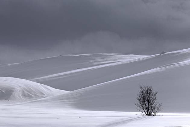 Creative Highlights World Einsame Birke in verschneiter Landschaft im Dovrefjell Sunndalsfjella Nationalpark im Winter, Norwegen, Europa *** Lonely Birch in Verschneiter Landscape at Dovrefjell Sunndalsfjella National Park at Winter, Norway, Europe Copyright: imageBROKER/alimdix/xArterrax/xSven-ErikxArndt ibltsm09483065.jpg