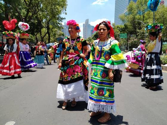 Mega Calenda for the International Day of Indigenous Peoples in Mexico August 9, 2023, Mexico City, Mexico: Various indigenous organizations participating in the Mega Calenda Parade on the International Day of Indigenous Peoples on Reforma avenue in Mexico City. on August 9, 2023 in Mexico City, Mexico, Credit:Luis Barron Eyepix Group Avalon Mexico, Mexico City, Mexico City  Copyright: xLuisxBarronx xEyepixxGroupx xAvalonx 0795801829