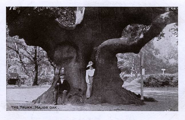 A Woman standing in the trunk of the Major Oak, Sherwood A Woman standing in the trunk of the Major Oak, Sherwood Forest near Edwinstowe, Nottinghamshire. According to local folklore, it was Robin Hood s shelter where he and his merry men slept. Date: circa 1903  Copyright: Copyrightx(c)Geminix2023.xCredit:xGemini 11806444