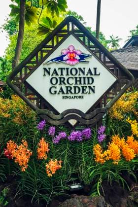 National Orchid Garden at the Singapore Botanic Gardens, Singapore.  Copyright: xRussxBishopx x AS32 RBS0081