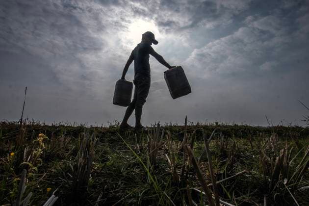 News Bilder des Tages Water Crisis Due to Drought Residents in Bogor, West Java, Indonesia, collected water infiltration in the paddy field for their needs at home on August 12, 2023, due to a scarcity of clean water caused by a drought that occurred two months ago 