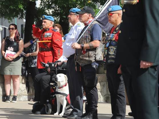 August 13, 2023, Ottawa, ON, Canada: Canadian peacekeeping veterans and a service dog attend the National Peacekeepers Day ceremony in Ottawa, Sunday, Aug. 13, 2023. Ottawa Canada  - ZUMAc35_ 20230813_zaf_c35_002 Copyright: xPatrickxDoylex