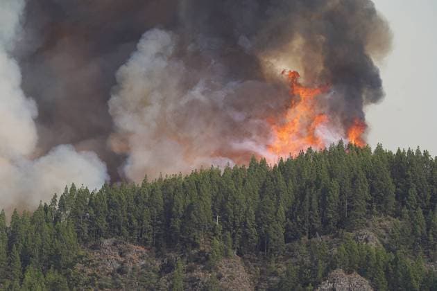 Bilder des Jahres 2023, News 08 August News Themen der Woche KW33 Out Of Control Wildfires Rage In Tenerife - Canary Islands The forest fire, on August 17, 2023, in La Orotava, Tenerife, Canary Islands, Spain. The City Council of La Orotava has confirmed that the decision has been taken to evacuate as a preventive measure in view of the evolution of the fire the population center of Aguamansa, as well as Pinolere and the highlands of La Florida. Aguamansa is currently one of the most active points of the fire, which has already affected about 5,000 hectares. La Orotava is on alert because the outbreaks are close to the houses, and the change of wind that may occur tonight would worsen the situation and cause the flames to advance faster than in the afternoon, when the high amount of smoke has caused the f  Copyright: xEuropaxPress ABACAx 864326_007 EuropaxPress ABACAx 864326_007