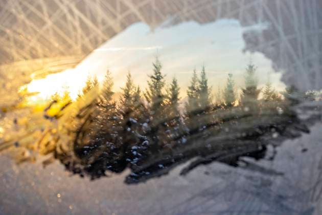 Scenic view of coniferous trees growing in winter forest seen through window covered with frost under sky at sunny Lapland Norway Model Released JosuTorrealday_ID15184_462997_024 Copyright: xJosuxTorrealdayx