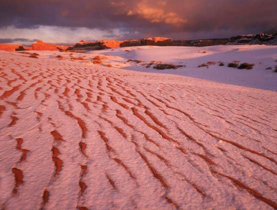 Lukashenka desert dunes in northern Arizona  Copyright: xStevexMohlenkampx x US03 SMO0027
