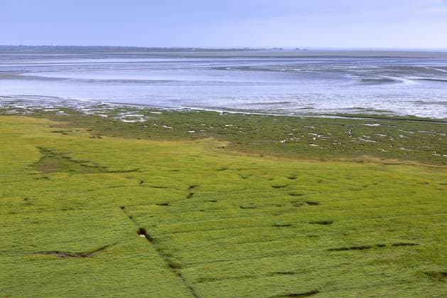  Luftbild über Salzwiese, Salzwiese und Watt im Sommer, Nationalpark Wattenmeer, Nordfriesland, Nordfriesland, Schleswig Holstein, Deutschland, Europa *** Luftbild via Salt marsh, Salt marsh and Watt at Summer, National Park Wadden Sea, North Frisia, North Frisia, Schleswig Holstein, Germany, Europe Copyright: imageBROKER/alimdix/xArterrax/xSvenxErikxArndt ibltsm09538575.jpg