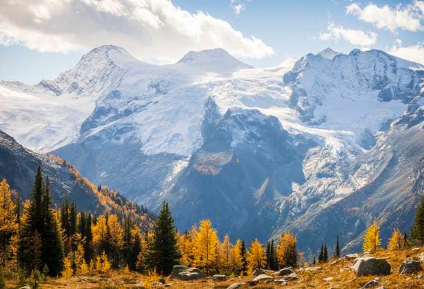 Creative Highlights World Glacier, Mountains and Golden Larch, British Columbia, Canada Invermere, British Columbia, Canada CR_SHKO230824E-1238928-01