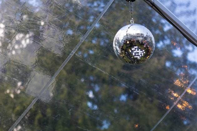 Disco ball adding shimmer to a garden wedding Vancouver, British Columbia, Canada R_LJRI230825-1223756-01