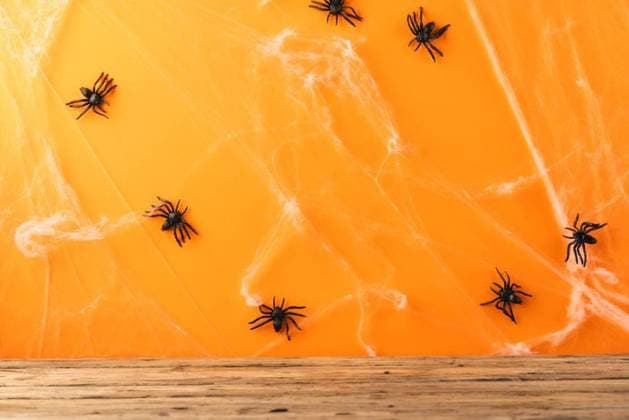 Halloween spiders and spiderweb decorations with copy space on orange background Halloween spiders and spiderweb decorations with copy space on orange background. Fall, autumn, halloween, tradition and celebration concept., model released, , property released, Cape Town, South Africa, 13.07.2023, 4159925.jpg, halloween,spider,spiderweb,decoration,copy space,orange background,fall,autumn,tradition,celebration,concept,holiday,design,horror,scary,season,christmas,illustration,cobweb,background,abstract,decorative,october,spooky,art,arachnid,card,party,festive,graphic,pumpkin,copy,space,orange